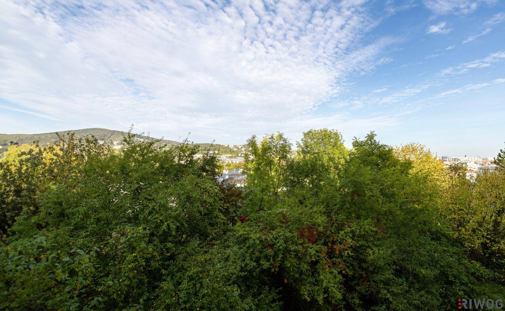 Weitläufiger Blick über Baumwipfel auf die ferne Stadt und die umliegende Hügellandschaft.