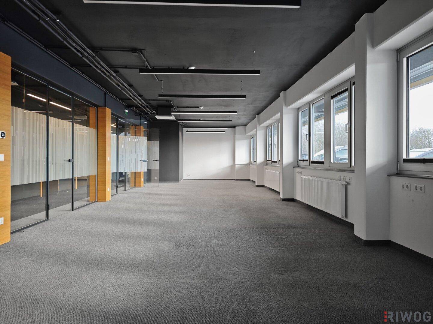 Geräumiges Büro mit grauem Teppichboden, Glaswänden und einer dunklen Decke mit moderner Beleuchtung.