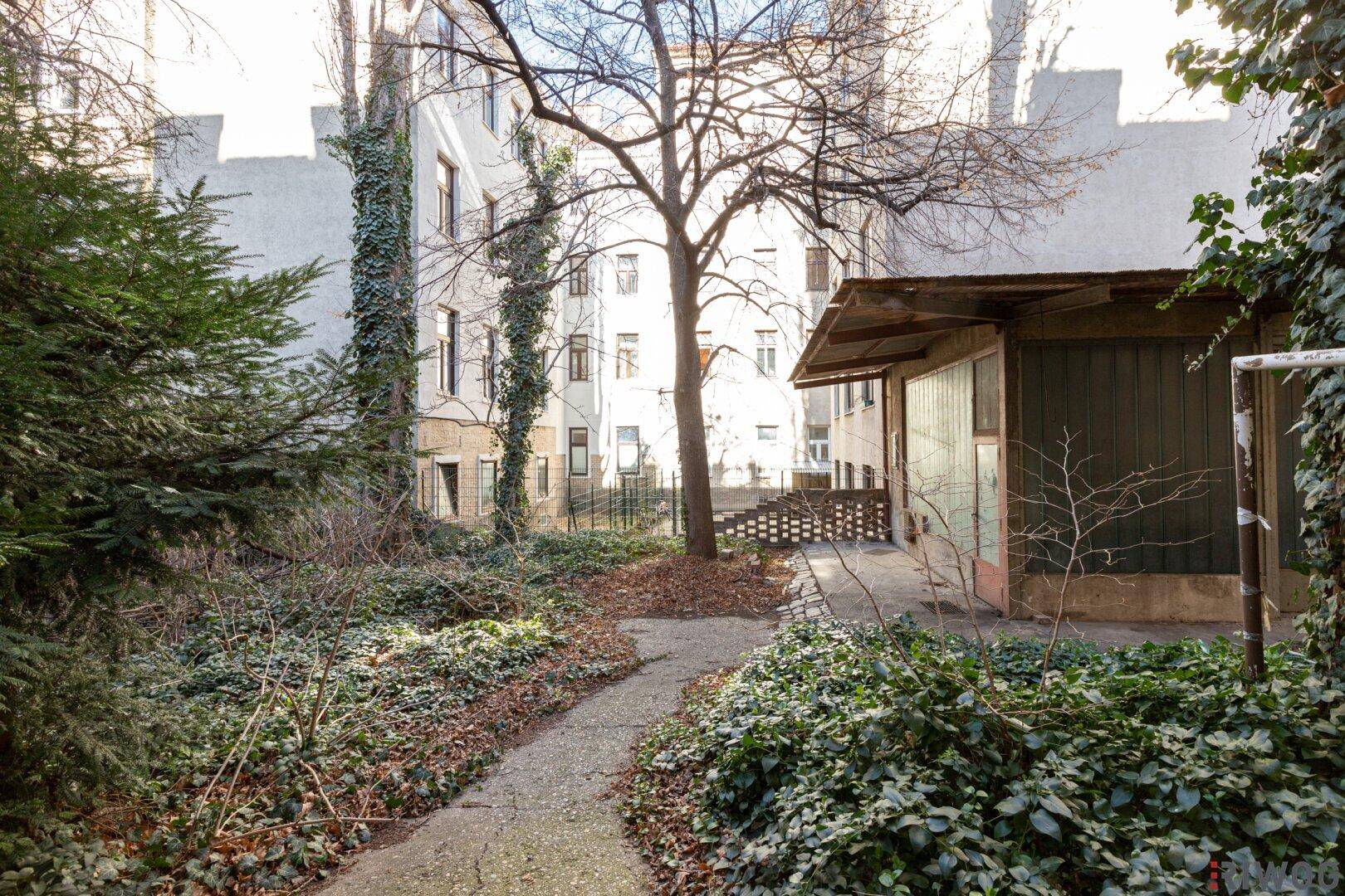 Verwilderter Innenhofgarten mit alten Bäumen und einem kleinen Schuppen im Hintergrund.
