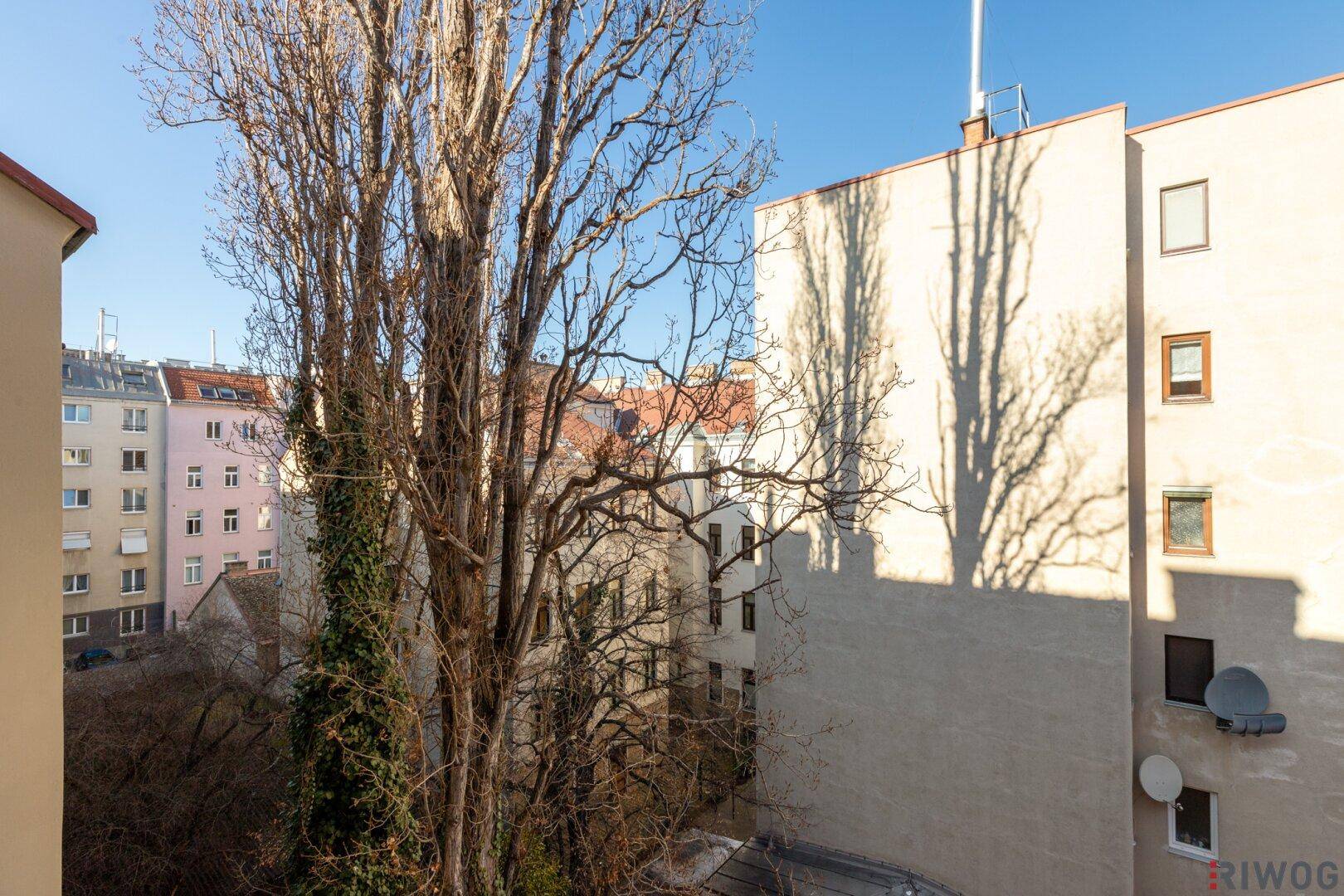 Blick auf einen begrünten Innenhof mit Bäumen und umliegenden Gebäuden an einem sonnigen Tag.