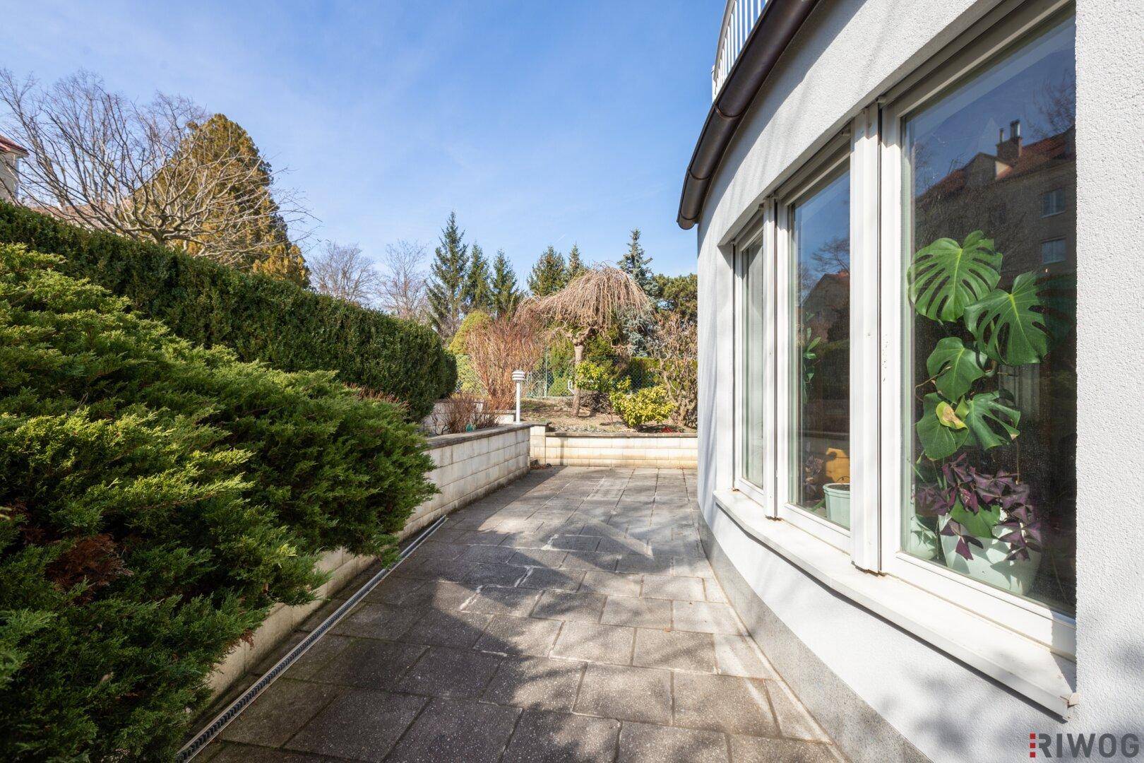 Seitlicher Weg entlang des Hauses mit Hecken und Blick in den Garten.
