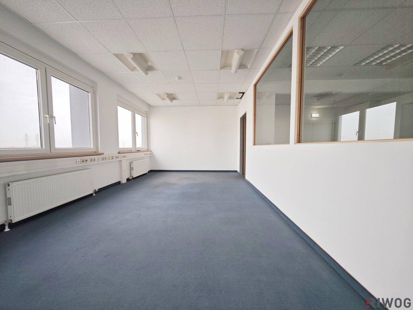 Helles Büro mit blauem Teppichboden, weißen Wänden und einer Trennwand mit Glasfenster.
