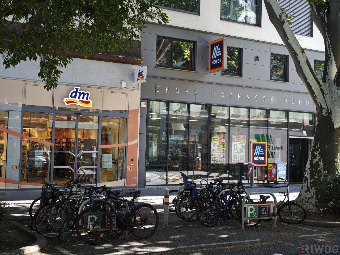 Einkaufsstraße mit Geschäften wie Hofer und dm, umgeben von Bäumen und städtischem Flair.