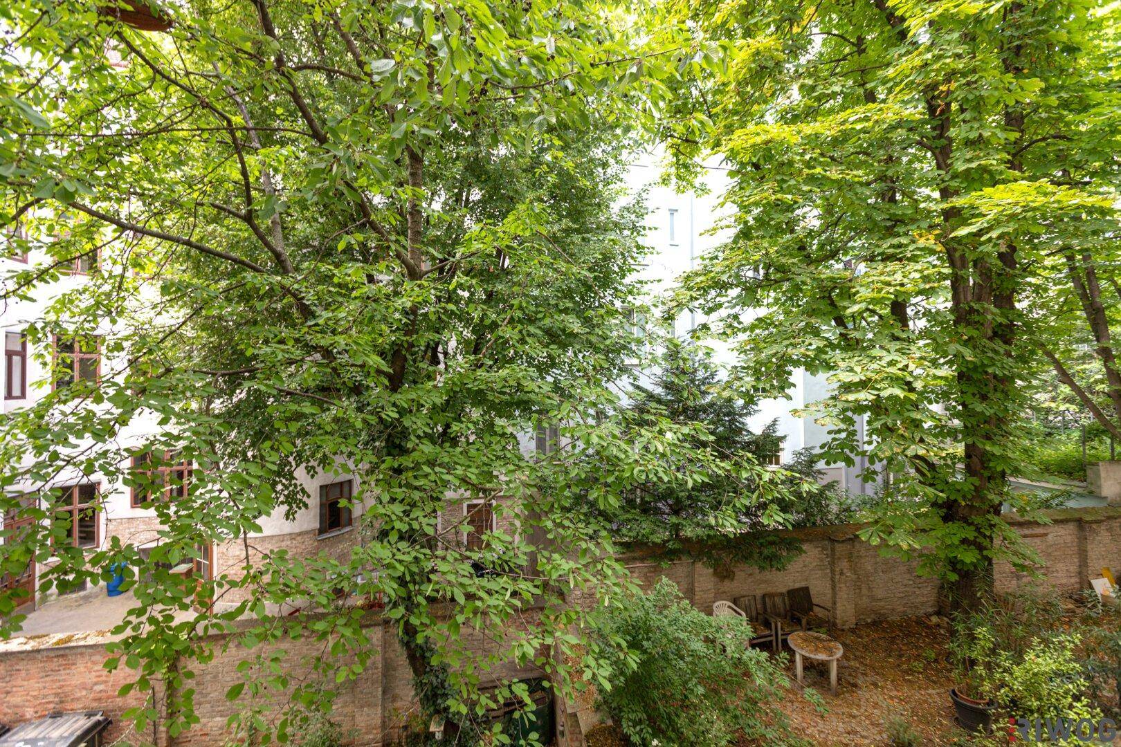 Grüner Innenhof mit Bäumen und einer kleinen Sitzgelegenheit, umgeben von Gebäuden.