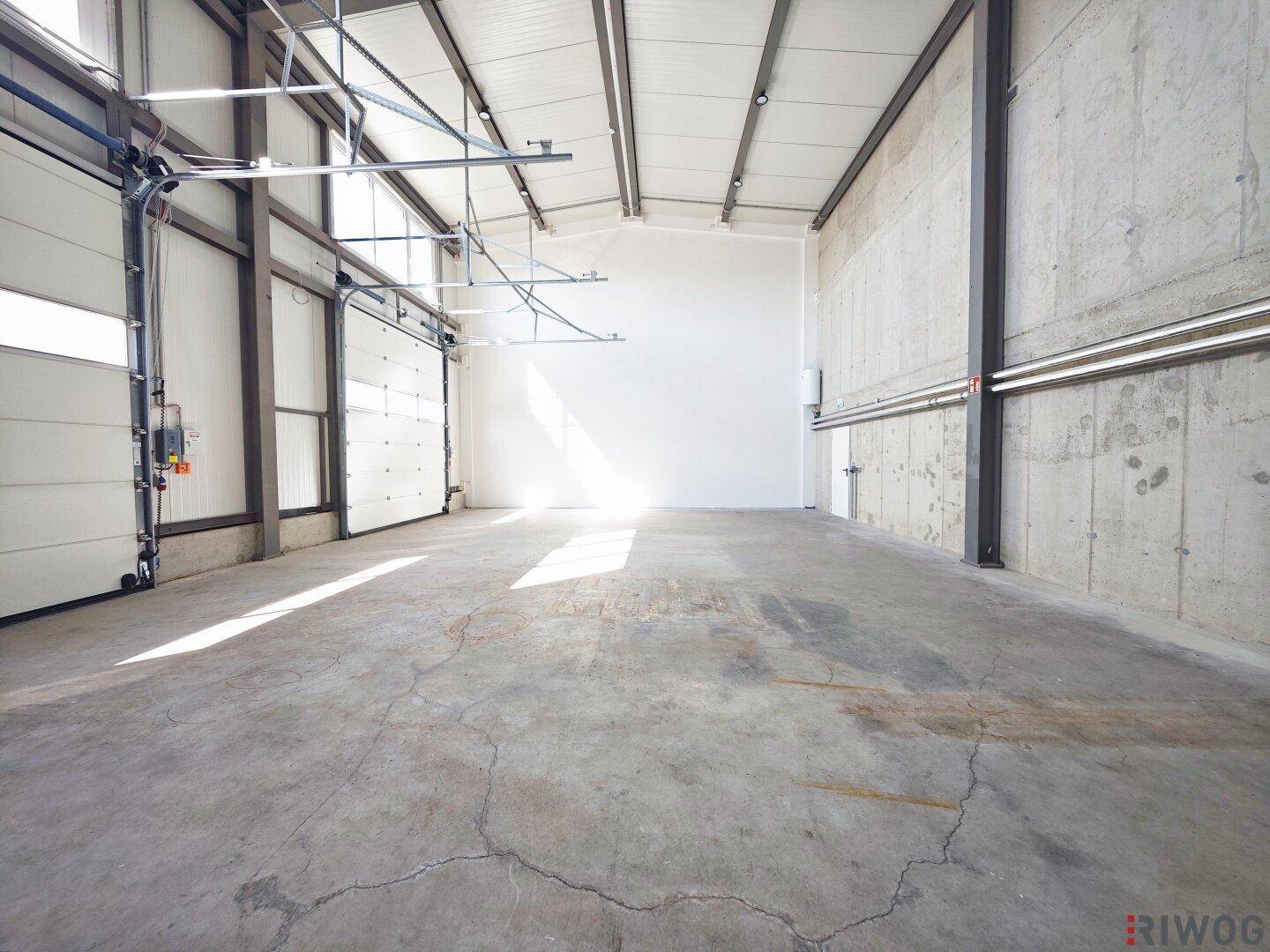 Leere Lagerhalle mit Betonboden, hohen Decken und einem Rolltor, das viel Tageslicht hereinlässt.