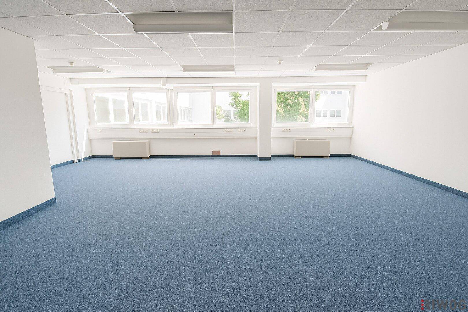 Leerer Büroraum mit blauem Teppichboden, großen Fenstern und weiß gestrichenen Wänden.