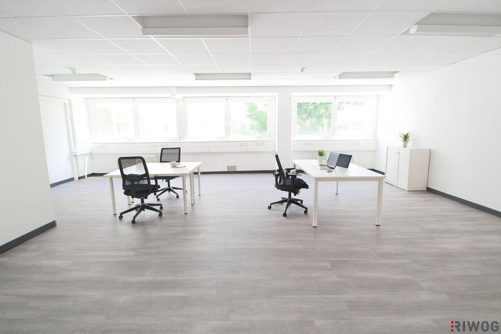 Helles, leeres Büro mit großen Fenstern, grauem Vinylboden und minimalistischer Einrichtung.
