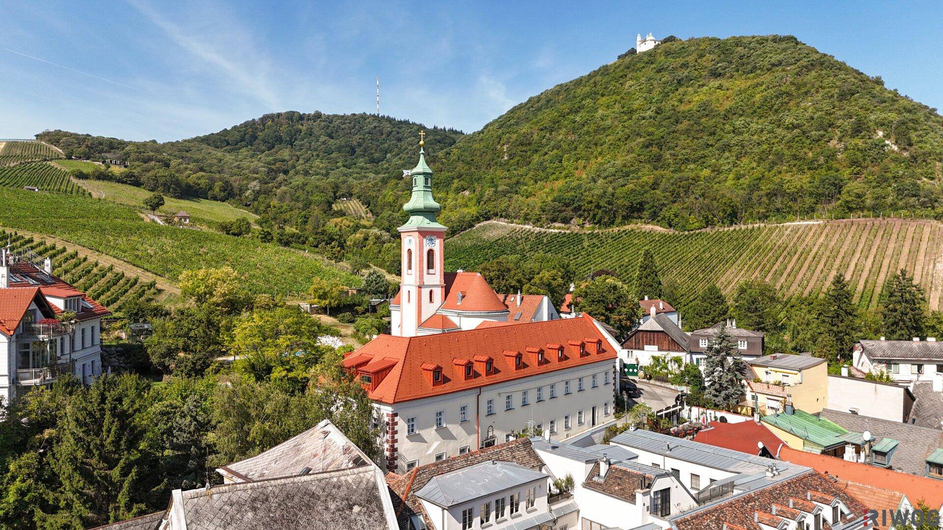 Weitläufige Luftaufnahme eines Dorfes mit Kirche, Weinbergen und einem Schloss auf dem Hügel.