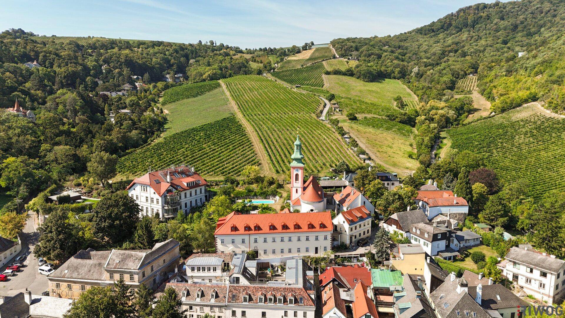 Beeindruckende Luftaufnahme eines Dorfes mit Kirche, weiten Weinbergen und grünen Hügeln.