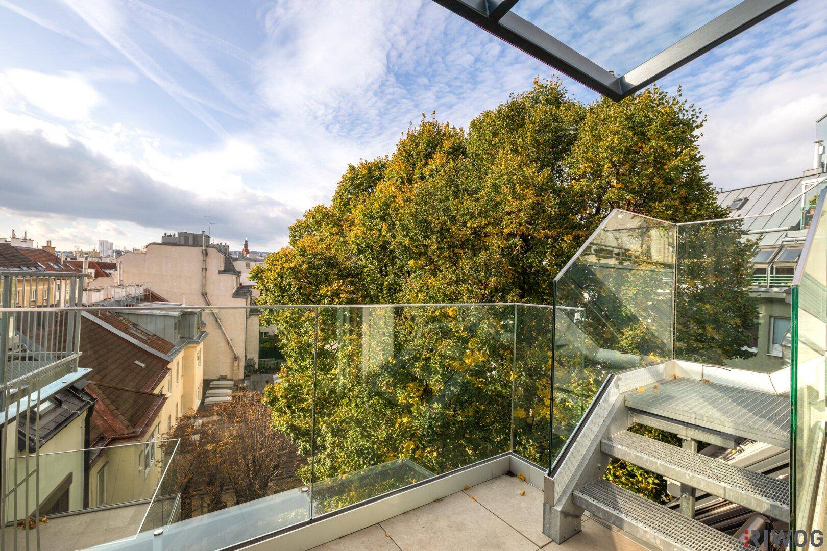 Ein kleiner Außenbereich mit Glasgeländer und Treppe, umgeben von Bäumen.