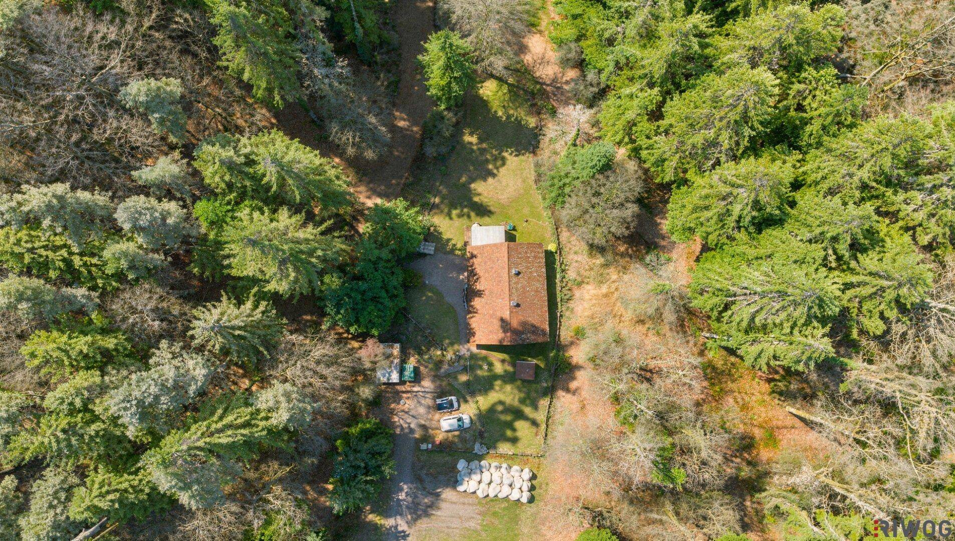 Vogelperspektive des Anwesens, eingebettet in eine dichte Waldlandschaft mit viel Grün.