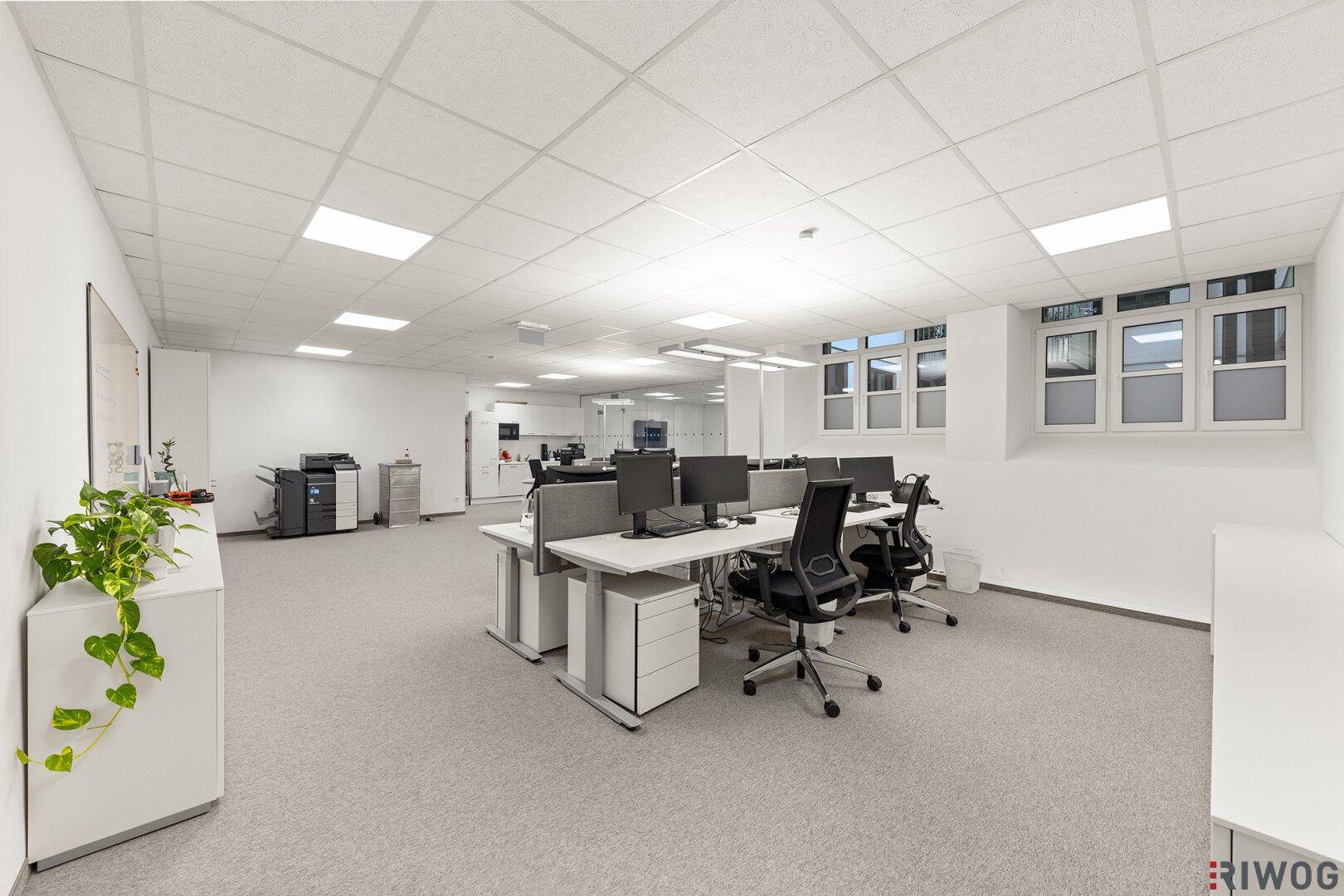 Geräumiges Büro mit mehreren Arbeitsplätzen, Teppichboden und viel Tageslicht.
