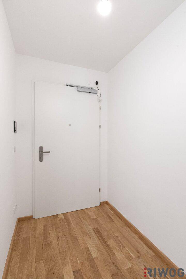 Heller Eingangsbereich mit Holzboden und einer modernen Eingangstür mit Türschließer.
