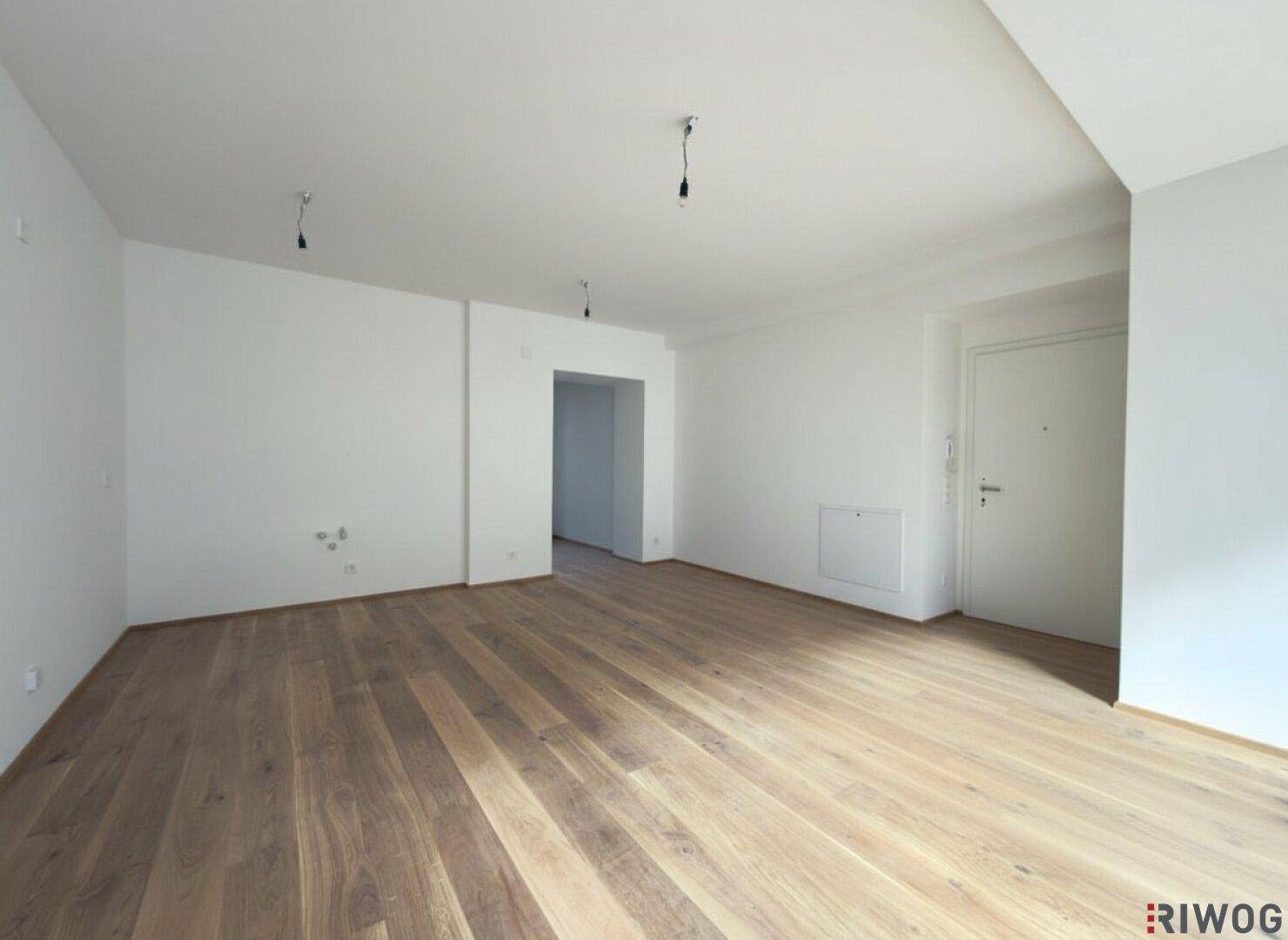 Leerer Wohnbereich mit Holzboden und Eingangstür, bereit für die Einrichtung und Nutzung.