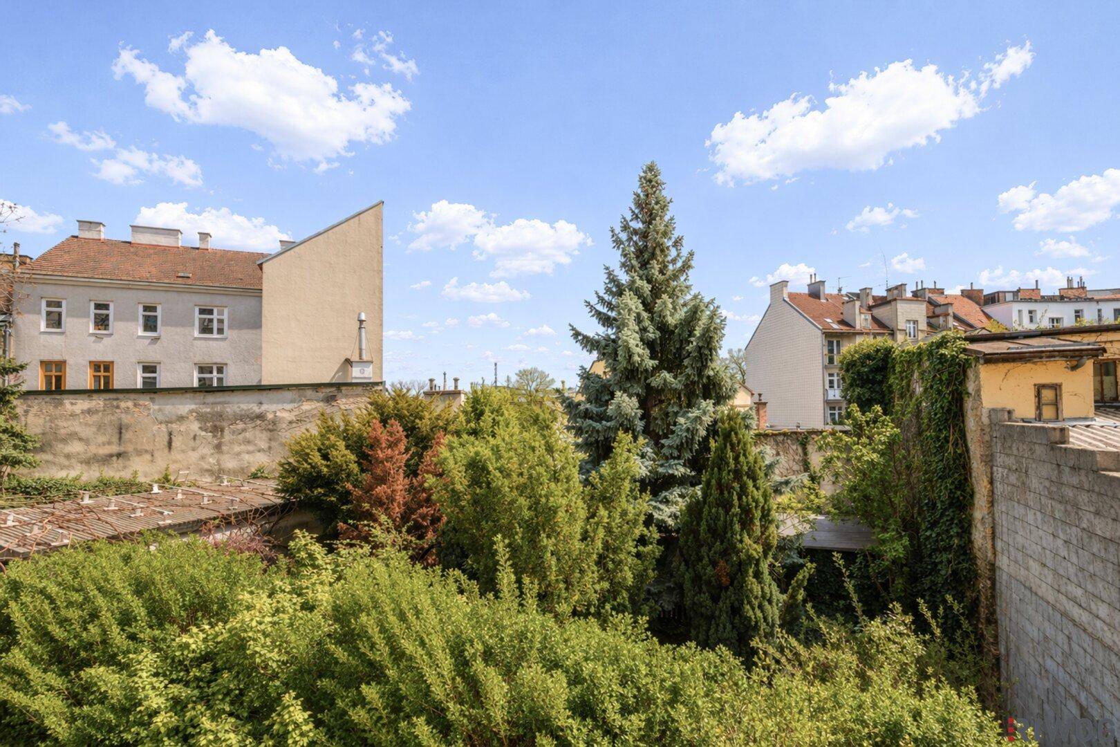 Grüner Innenhof mit üppiger Vegetation, hohen Bäumen und Sträuchern, umgeben von Mauern.