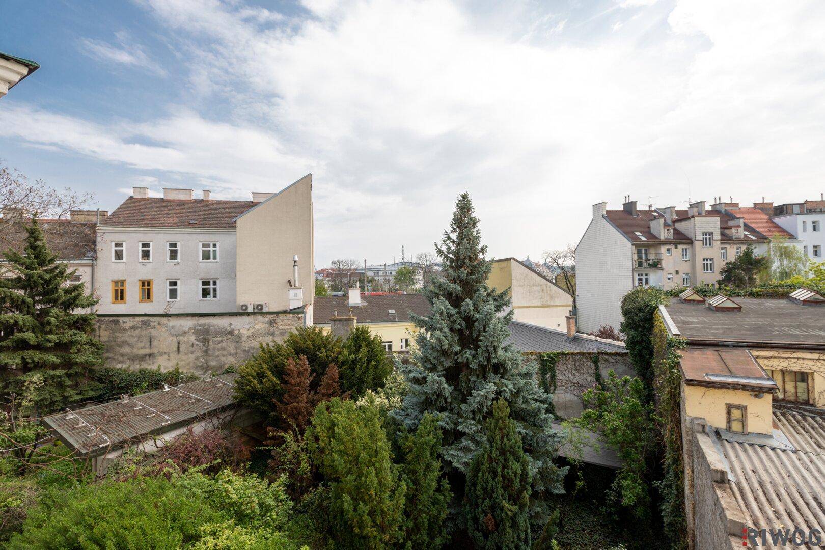 Blick auf einen begrünten Hinterhof mit verschiedenen Bäumen und angrenzenden Gebäuden.