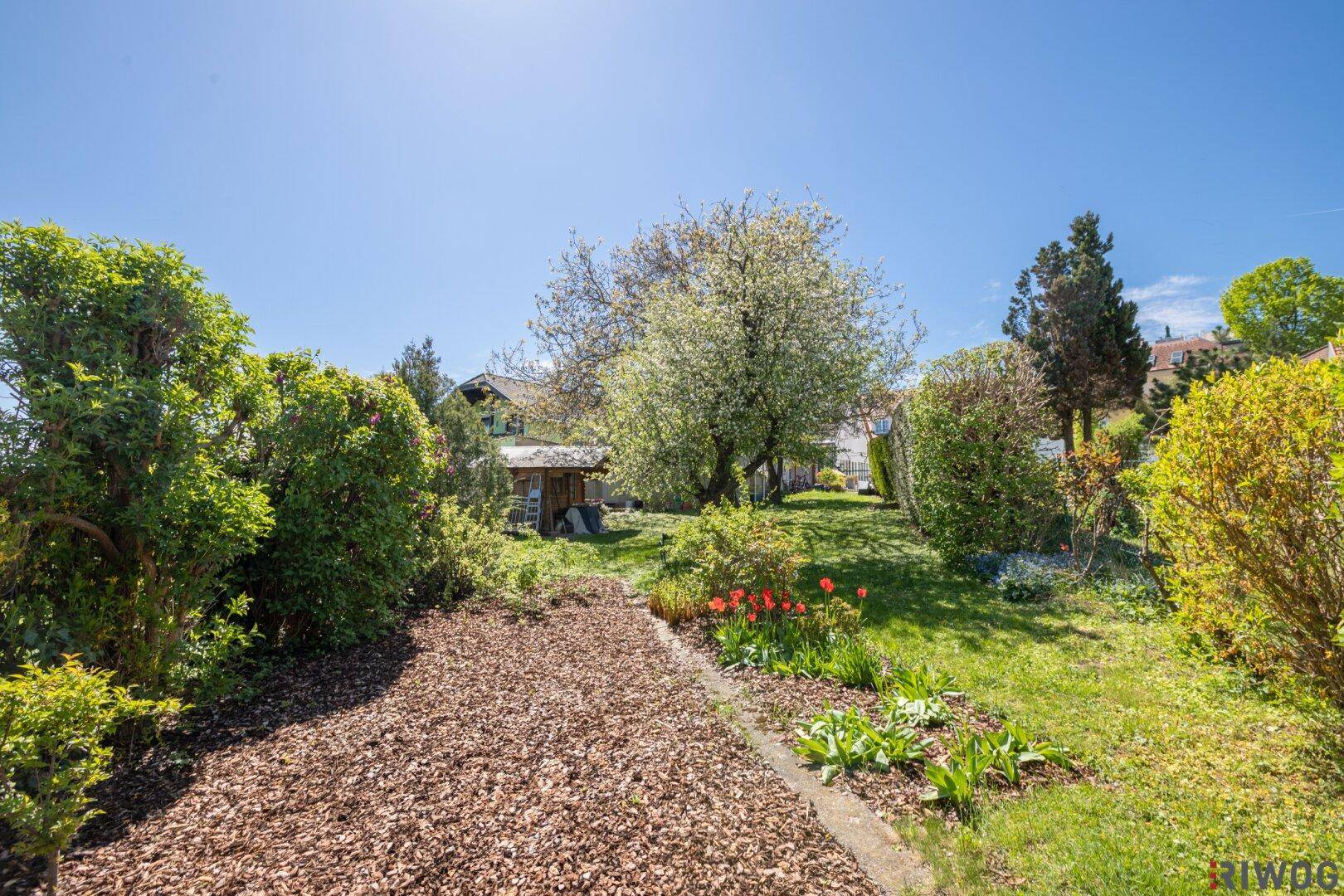 Gartenweg mit Rindenmulch, umgeben von Rasen und blühenden Pflanzen an einem sonnigen Tag.