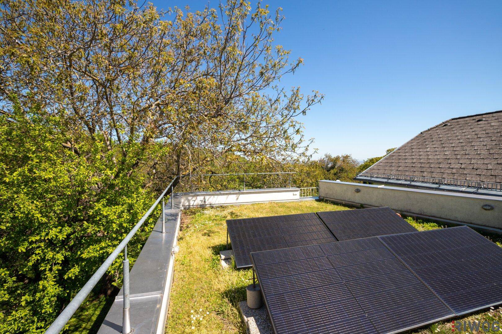 Grüne Dachterrasse mit Photovoltaikanlage und weitem Blick in die Natur.