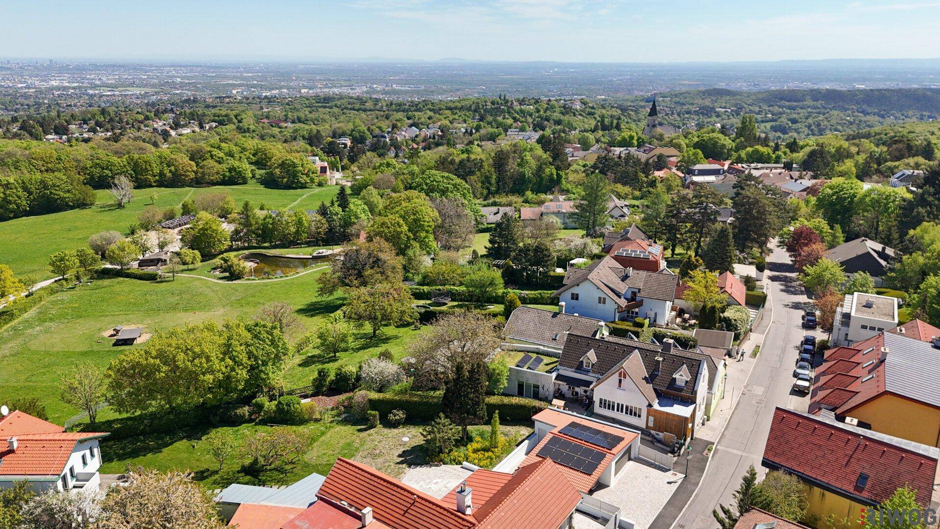 Panoramablick aus der Luft auf ein Wohngebiet mit viel Grün und Stadtsilhouette am Horizont.