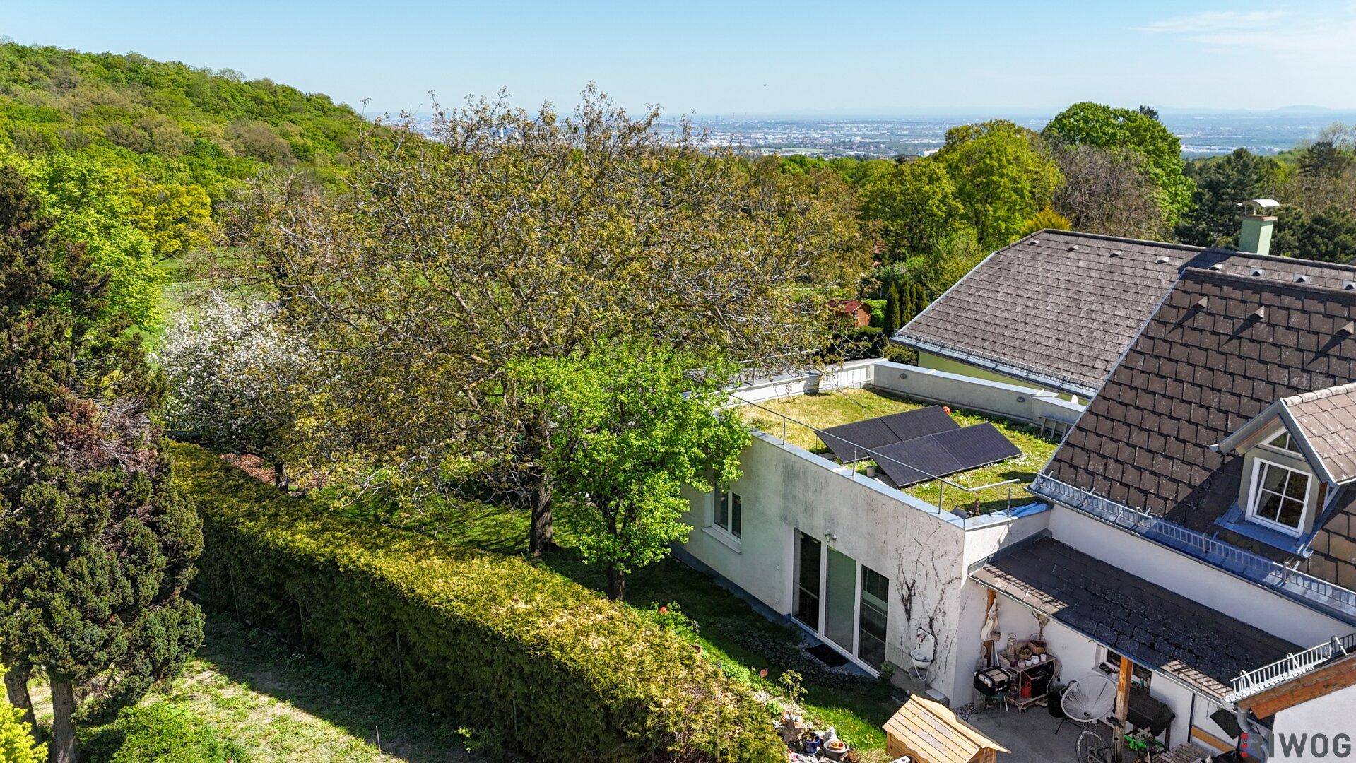 Ansicht des Hauses mit begrüntem Dach, Photovoltaikanlage und gepflegtem Gartenbereich.