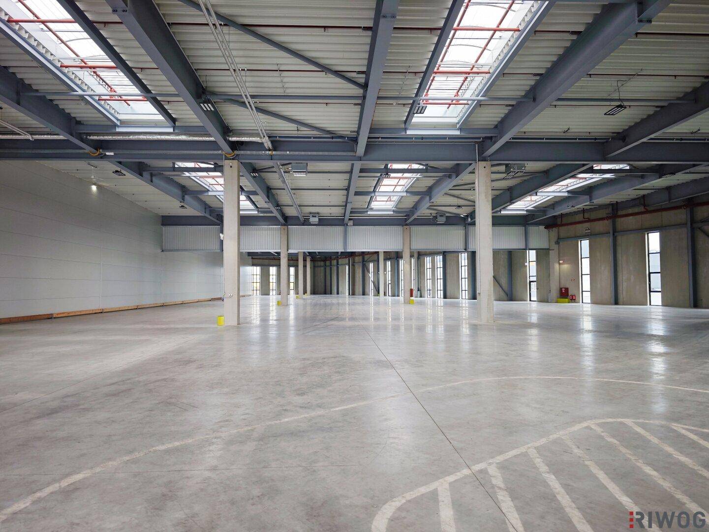 Große, leere Lagerhalle mit hoher Decke, Betonboden und vielen Oberlichtern für natürliches Licht.