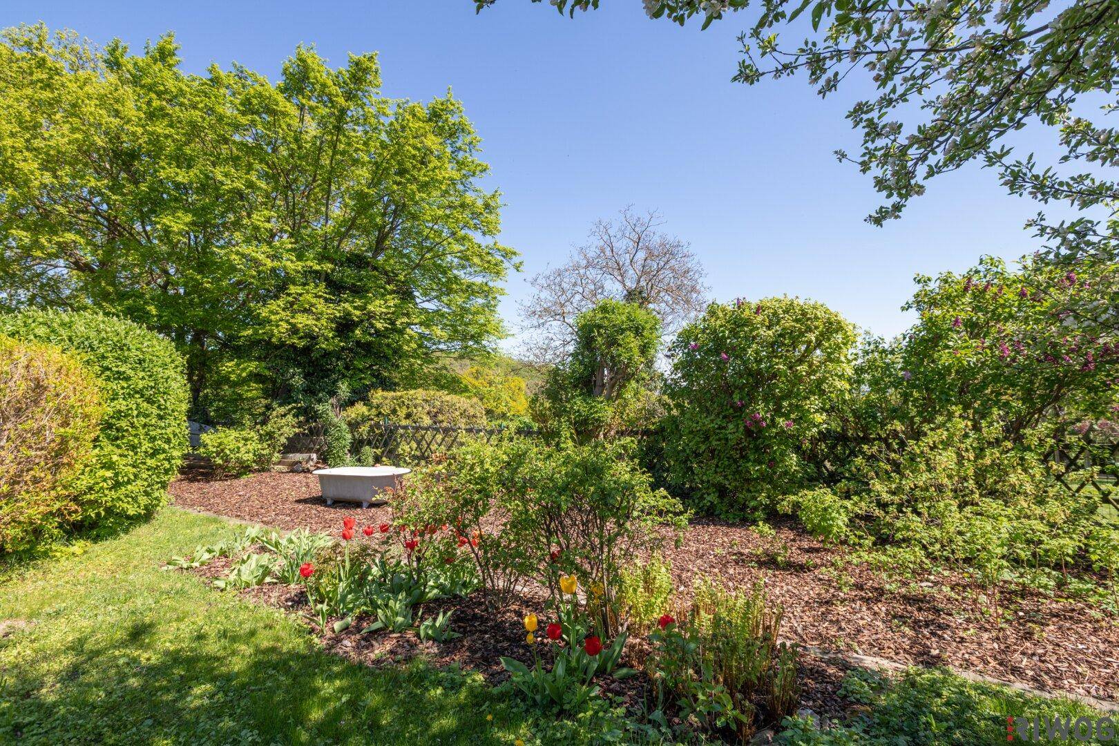 Gepflegter Gartenbereich mit bunten Blumenbeeten, Sträuchern und einer dekorativen Badewanne.