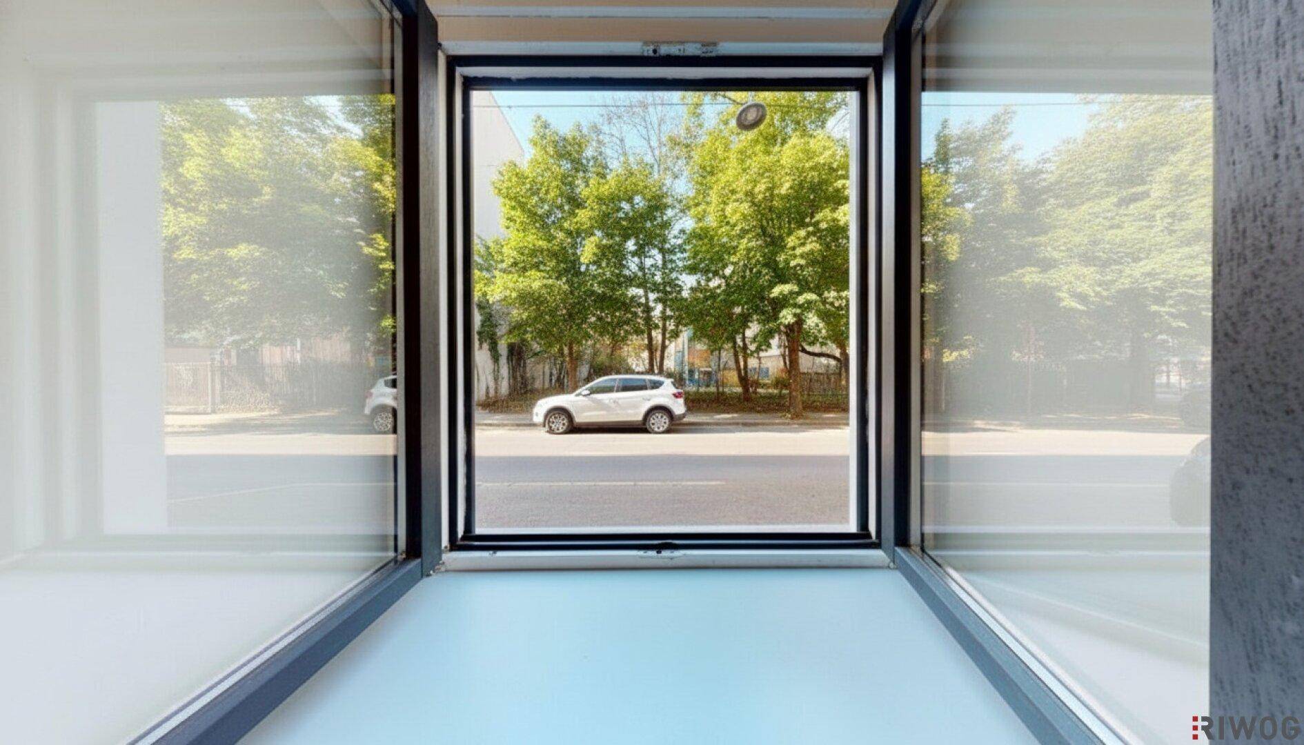 Blick aus dem Fenster auf eine grüne Straße mit Bäumen und parkenden Autos, bietet eine angenehme Aussicht.