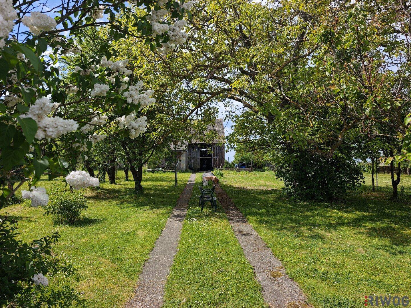 Langer Gartenweg führt durch grüne Wiesen und Bäume zu einem entfernten Scheunengebäude.