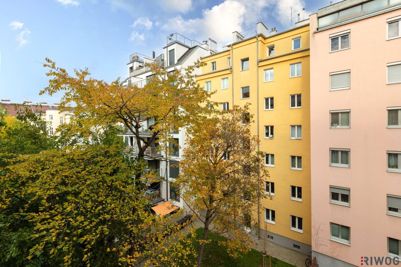 Blick auf den grünen Innenhof mit Bäumen und umliegenden Wohngebäuden, der Ruhe bietet.