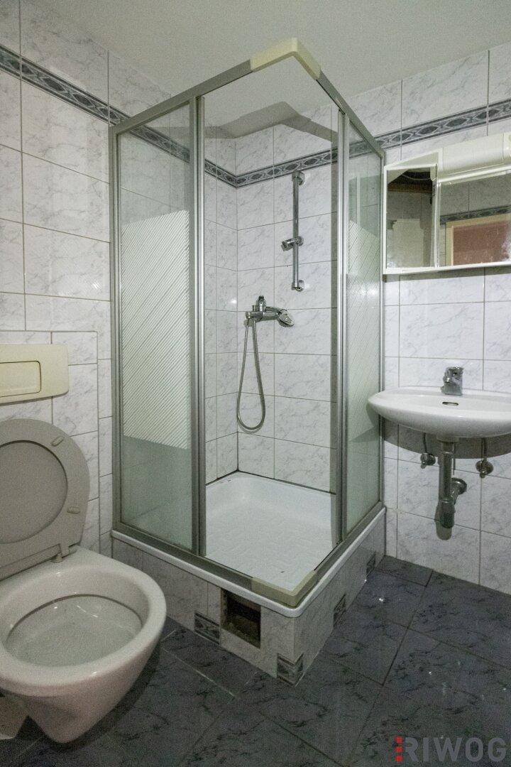Kleines Badezimmer mit Duschkabine, WC und Waschbecken, gefliest in traditionellem Stil.