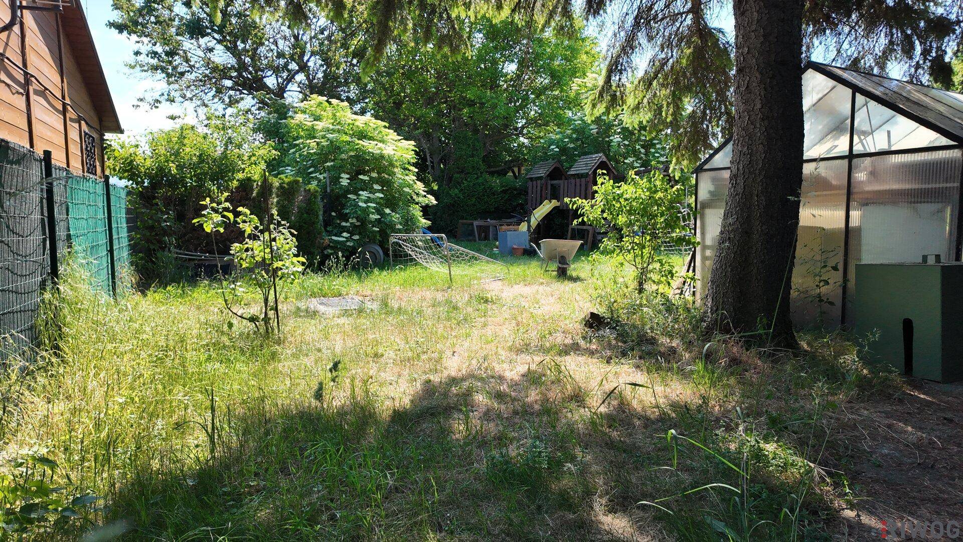 Sonniger Gartenbereich mit Rasen, Bäumen und einem Gewächshaus im Hintergrund.
