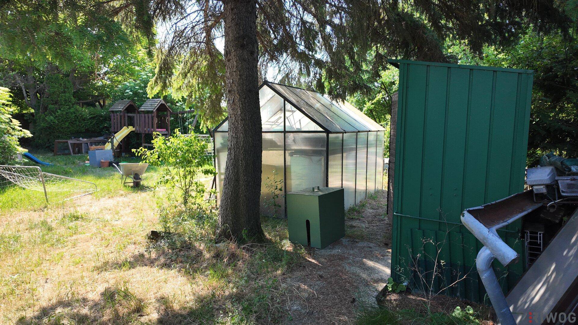 Gartenansicht mit einem Gewächshaus und einem grünen Schuppen unter einem großen Baum.