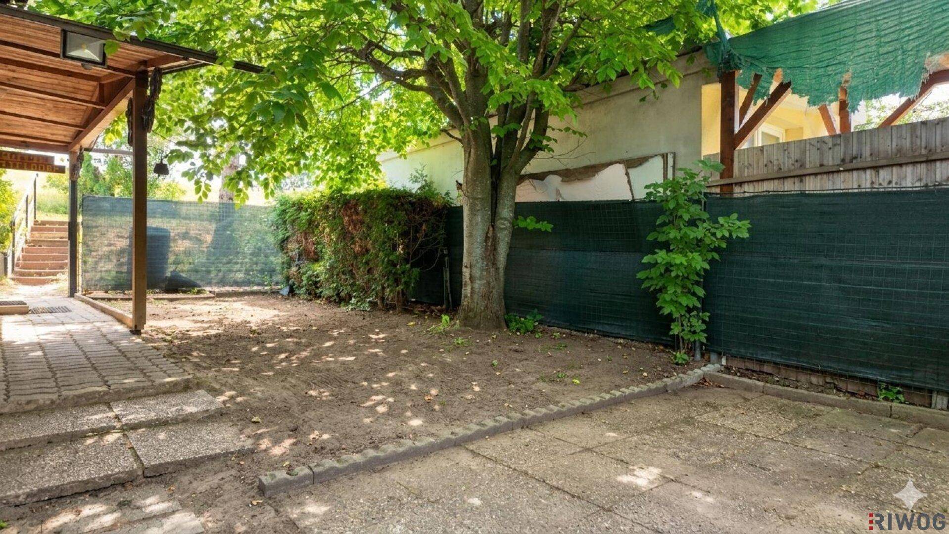 Gartenbereich mit gepflasterten Flächen, einem großen Baum und einem Sichtschutzzaun.
