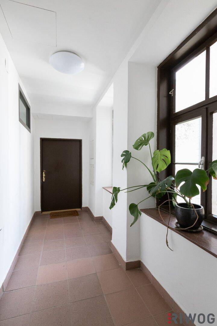 Heller Flur mit braunen Fliesen, weiß gestrichenen Wänden und einem Fenster mit Pflanze.