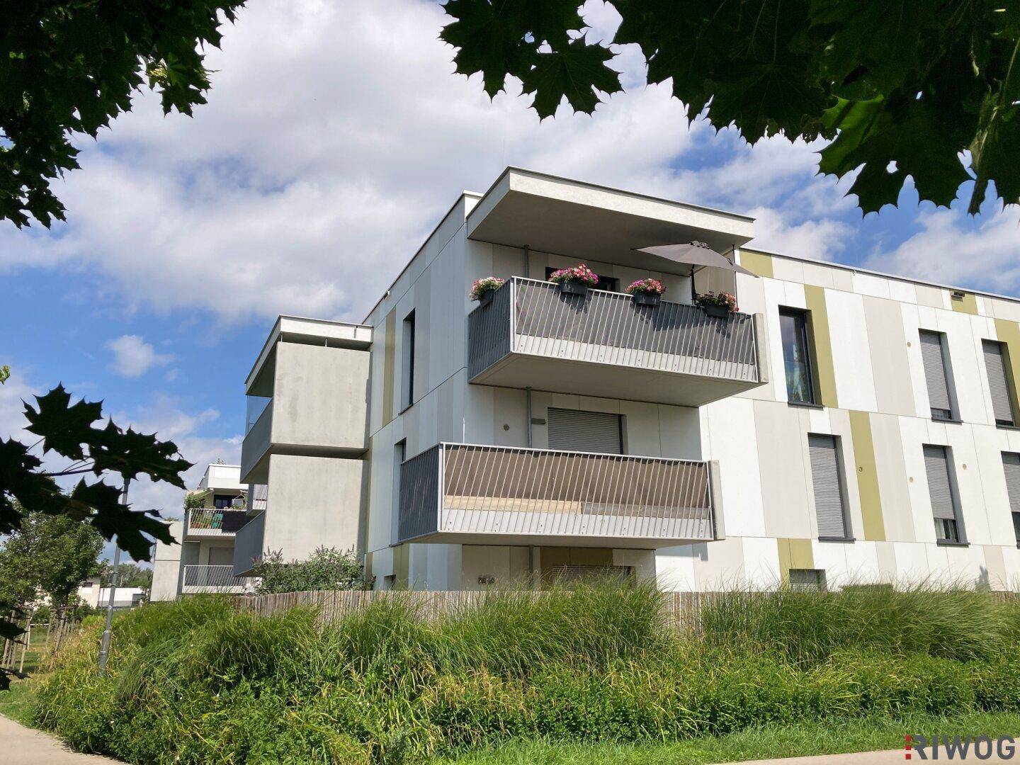 SONNIGE und RUHIGE GARTENWOHNUNG // perfekte Ausrichtung // Tiefgaragenstellplatz (Miete) - Widok 4
