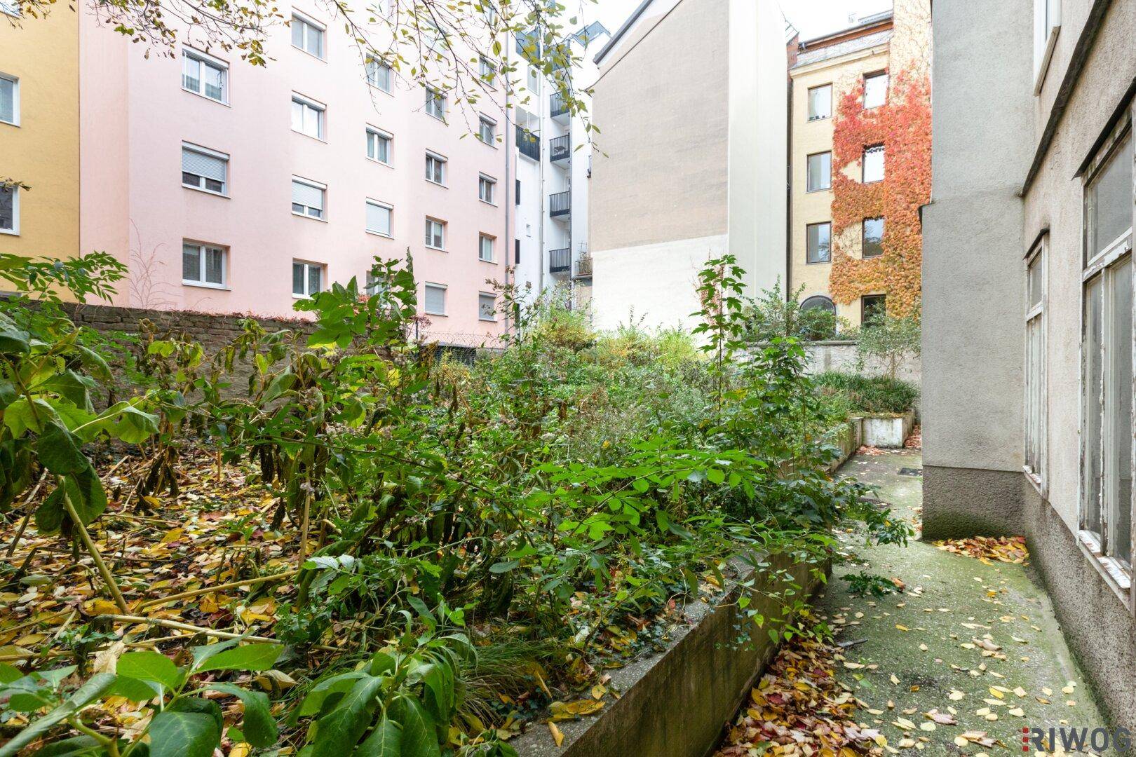 Ungepflegter Gartenbereich mit viel Grün und Blick auf umliegende Gebäude.