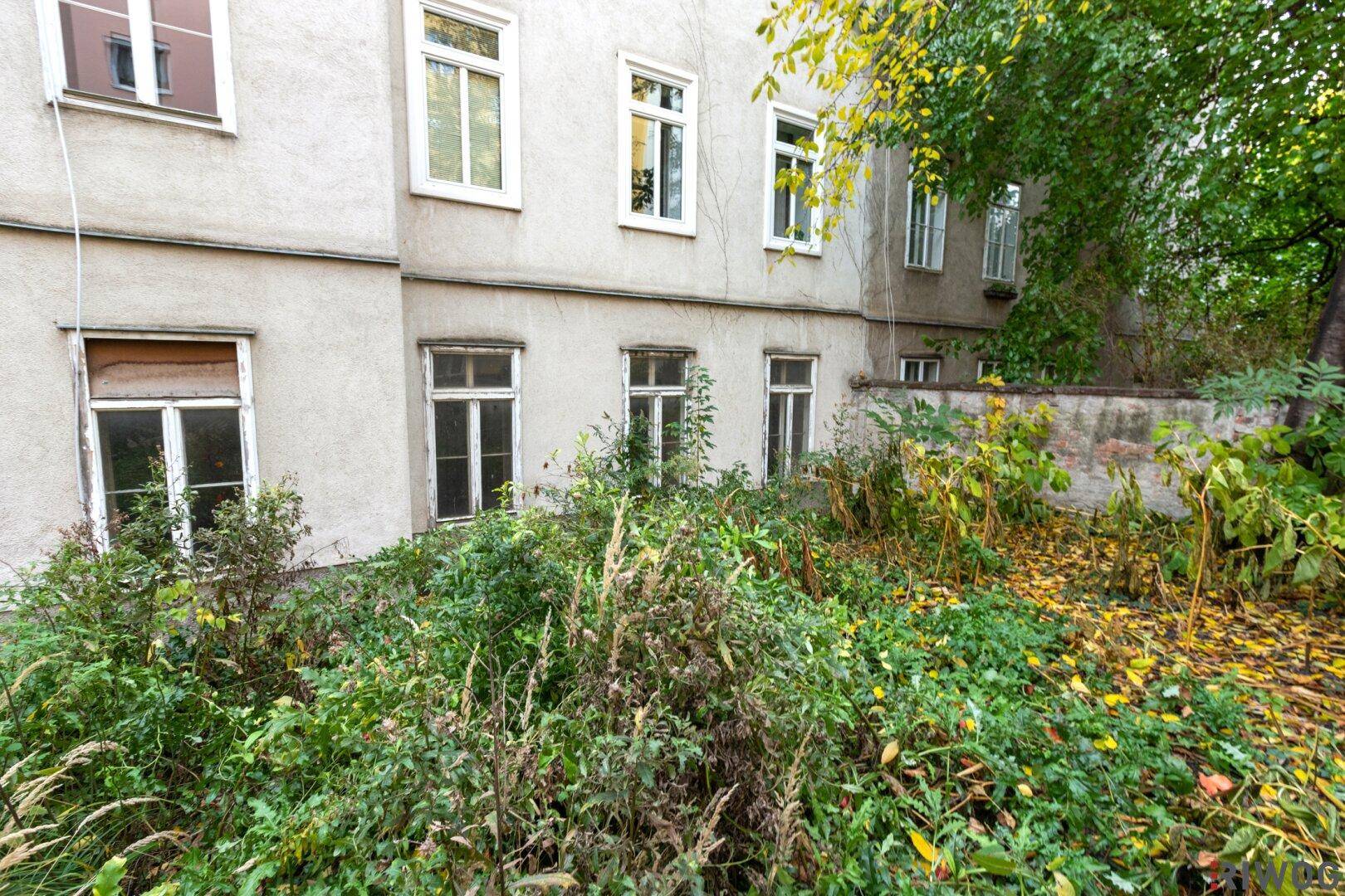 Verwilderter Gartenbereich mit hohem Bewuchs und alten Fenstern am Gebäude.