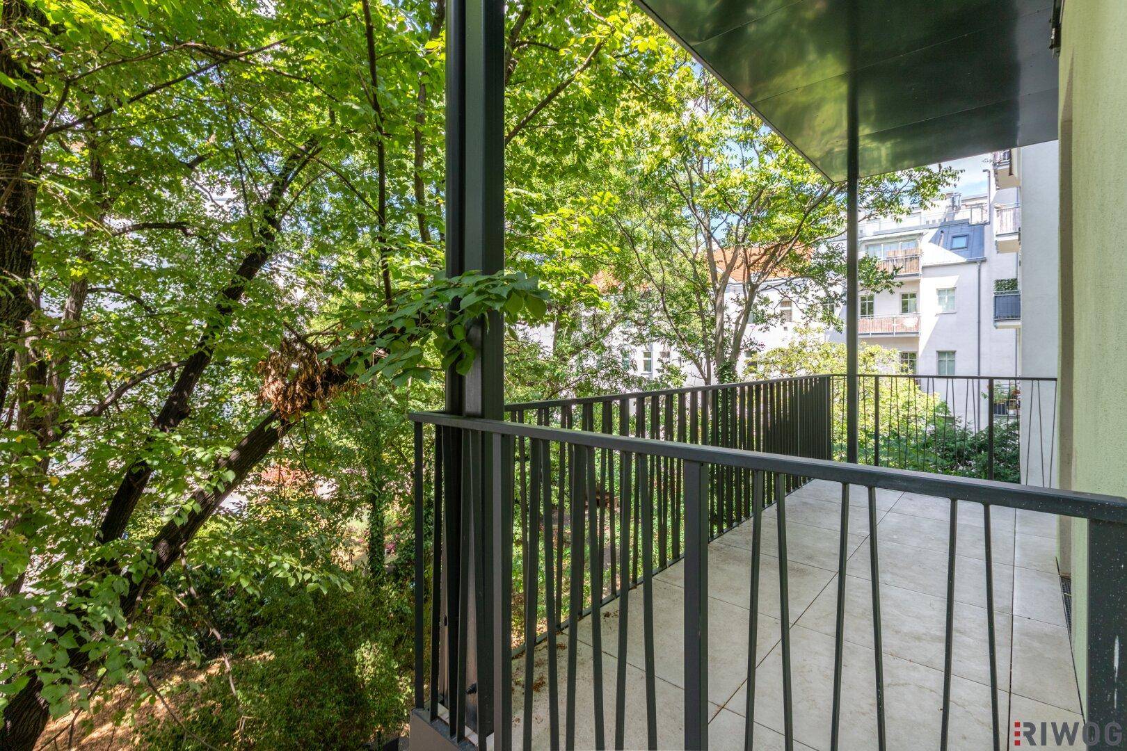 Blick von einem Balkon in eine grüne Baumlandschaft, die Privatsphäre bietet.