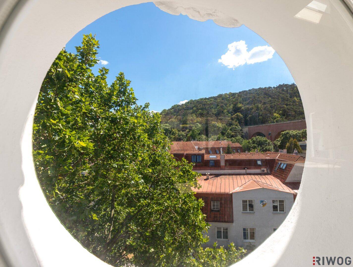 Blick durch ein rundes Fenster auf grüne Bäume und die Dächer der umliegenden Gebäude.