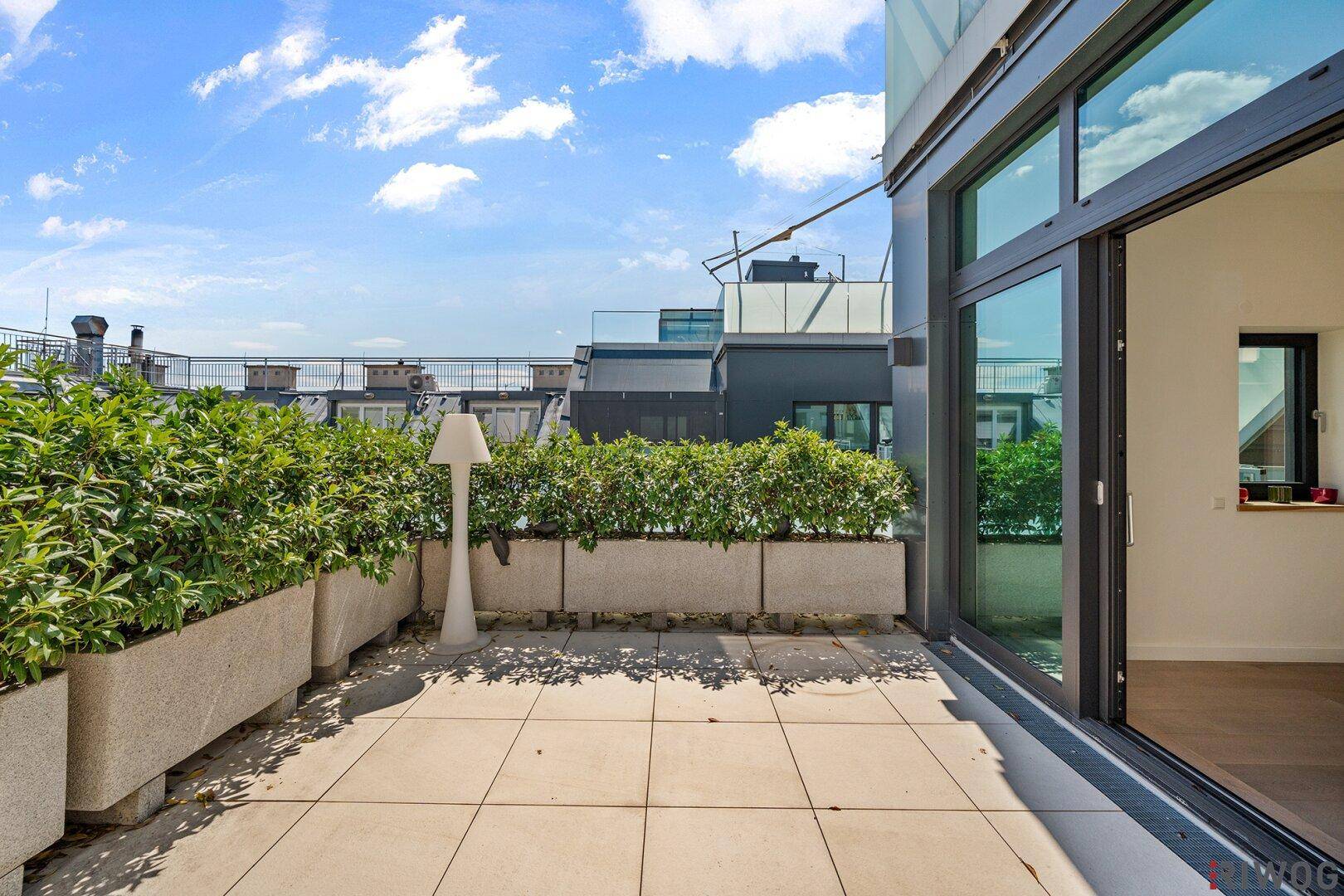 Geräumige Terrasse mit Fliesenboden, grünen Hecken und großen Glasschiebetüren.