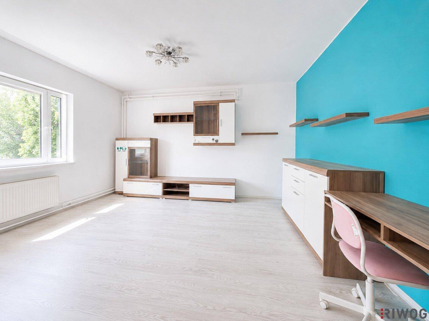 Geräumiges Wohnzimmer mit blauer Akzentwand, modernen Möbeln und hellem Laminatboden.