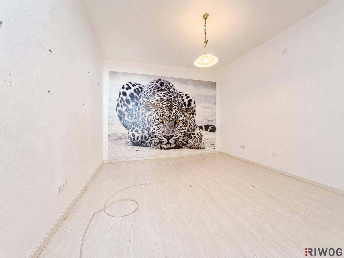 Leerer Raum mit weißer Wand und großer Leopard-Wandtapete.