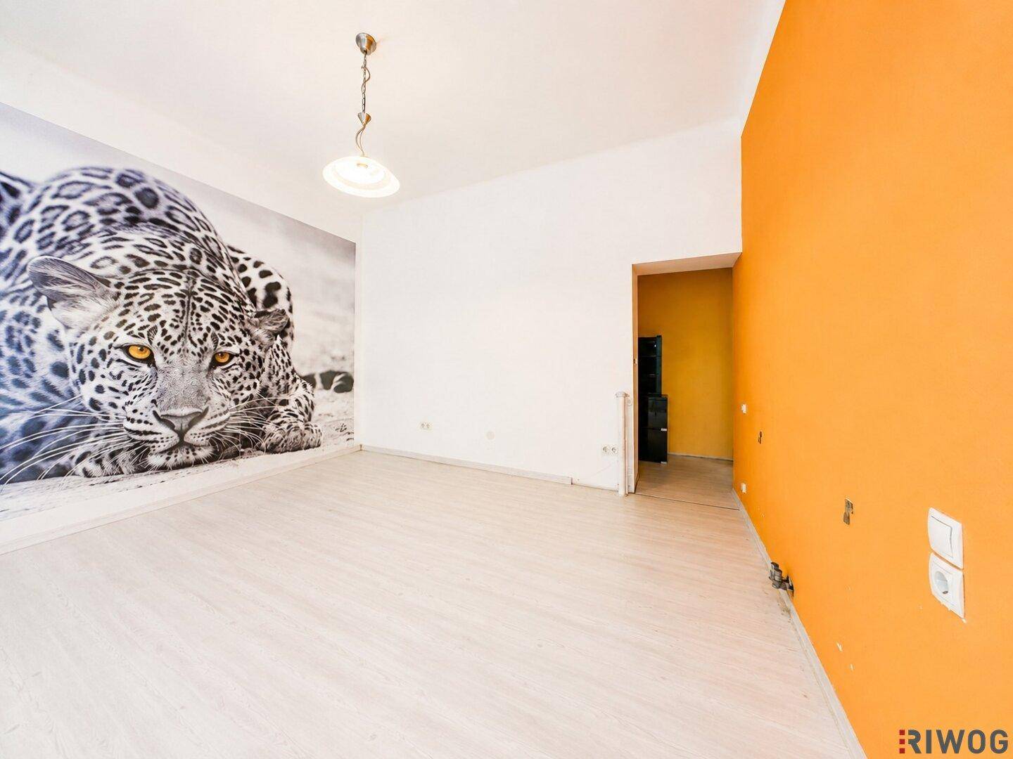 Leerer Raum mit Leopard-Wandtapete und orangefarbener Akzentwand.