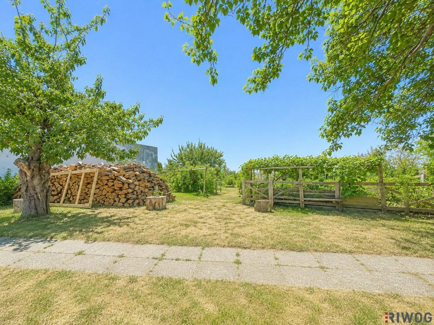 Naturbelassener Gartenbereich mit Holzstapel, Bäumen und einem Pfad, der zu weiteren Grünflächen führt.