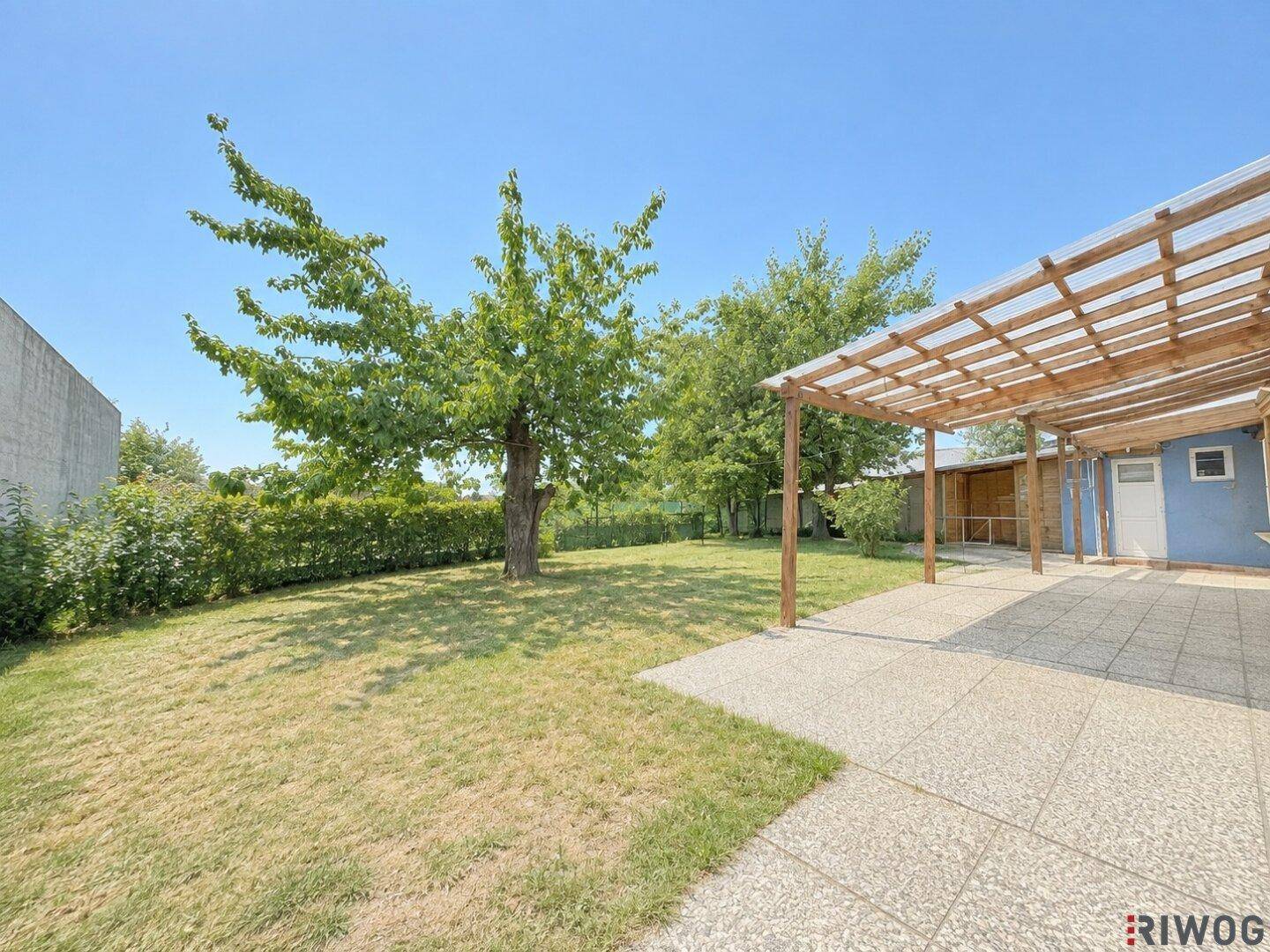 Großer Garten mit Rasenfläche, altem Baum, gepflasterter Terrasse und Holzpergola für entspannte Stunden.