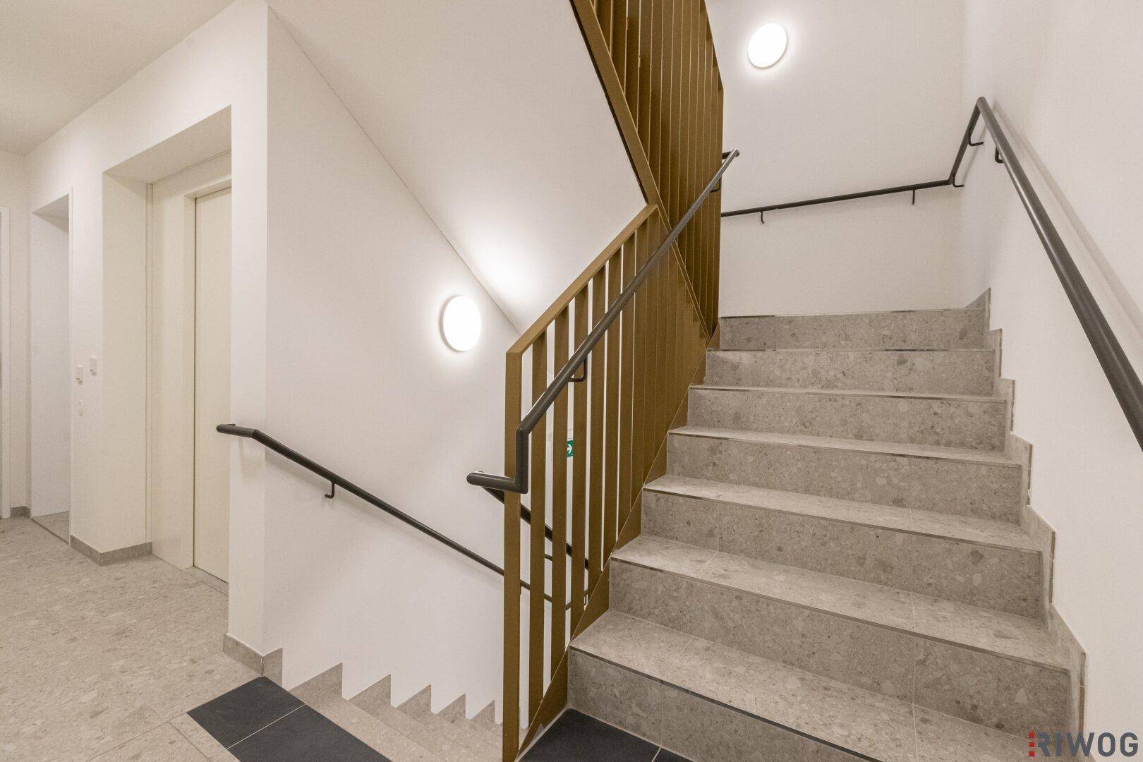 Modernes Treppenhaus mit Holzgeländer und Zugang zum Aufzug in einem gepflegten Gebäude.