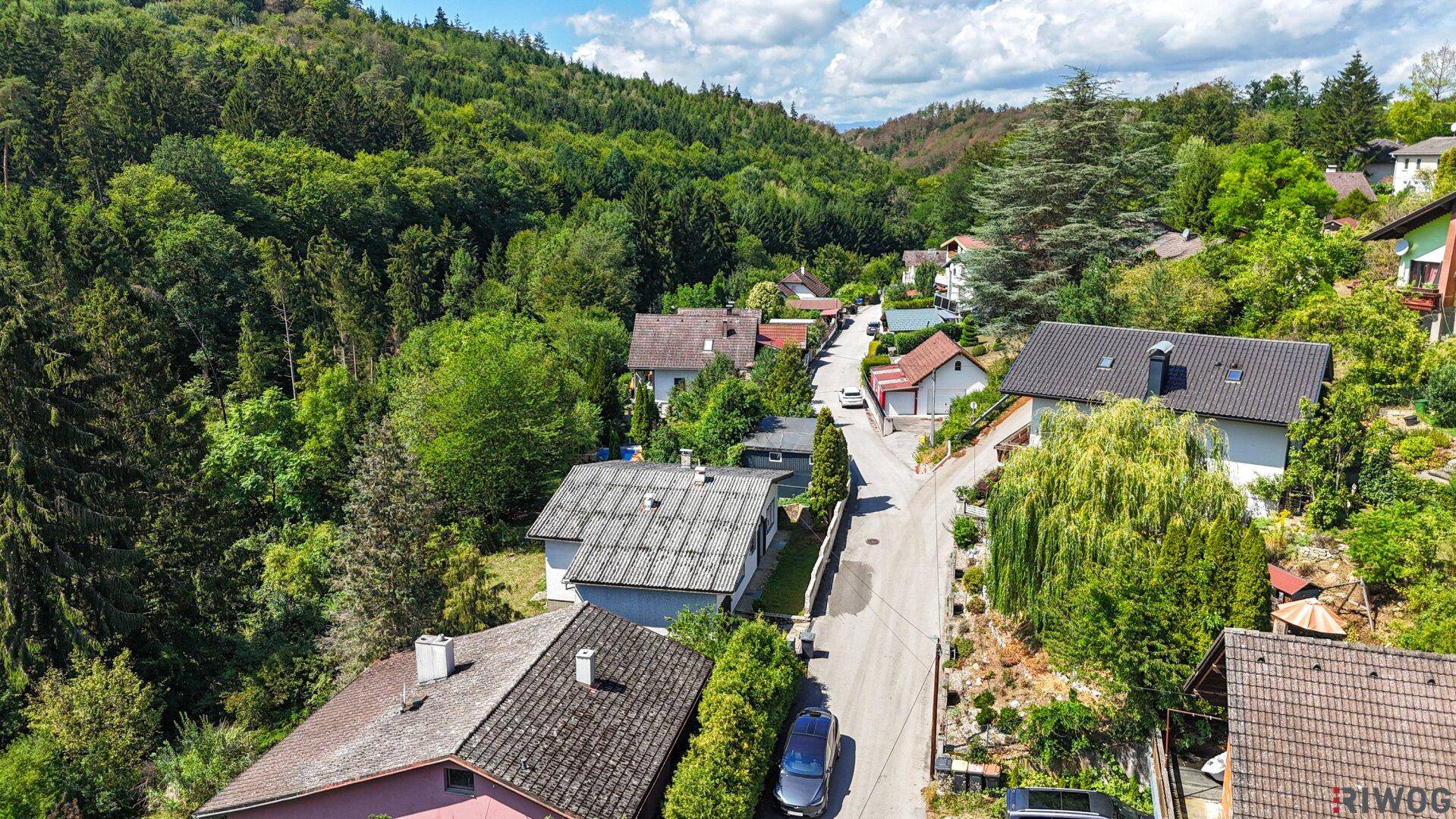 Luftaufnahme einer ländlichen Straße, gesäumt von Häusern und üppiger Vegetation.