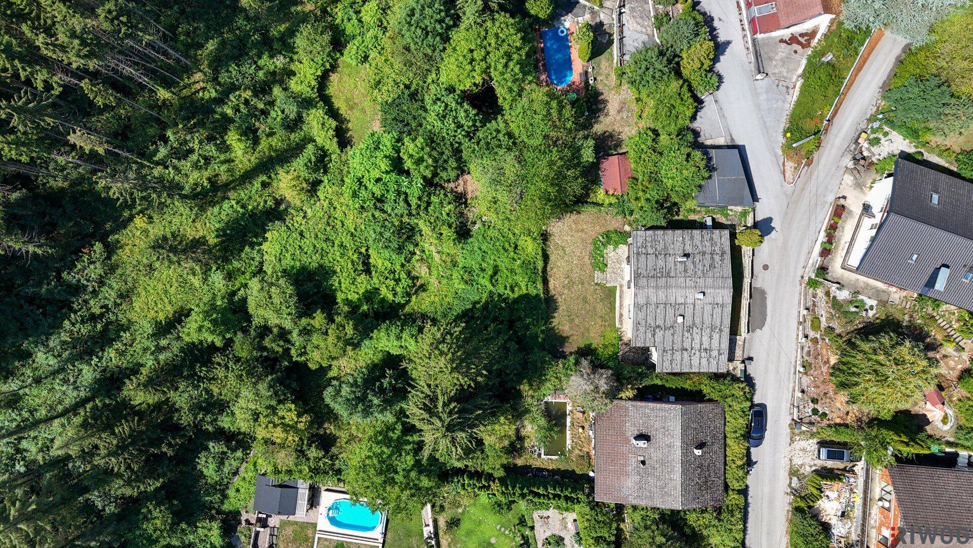 Senkrechte Luftaufnahme von Häusern und ihren Grundstücken, umgeben von Wald.