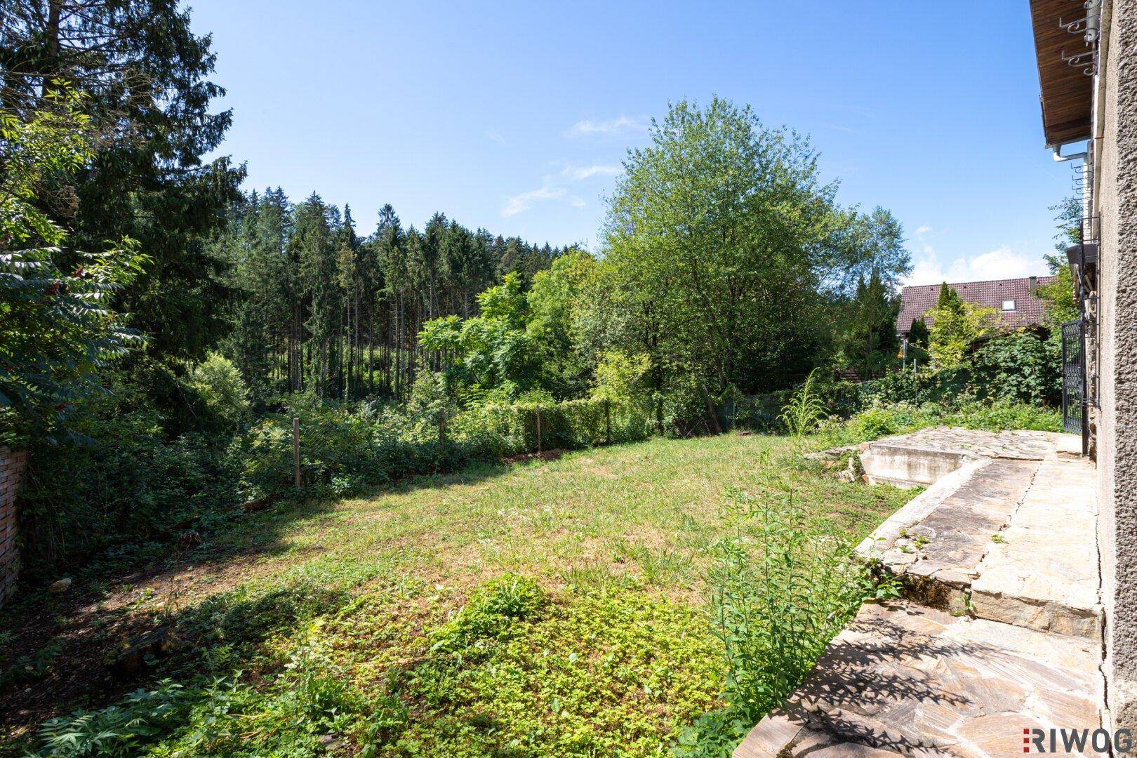 Großer Gartenbereich mit einer Steinterrasse und Blick auf den umliegenden Wald.