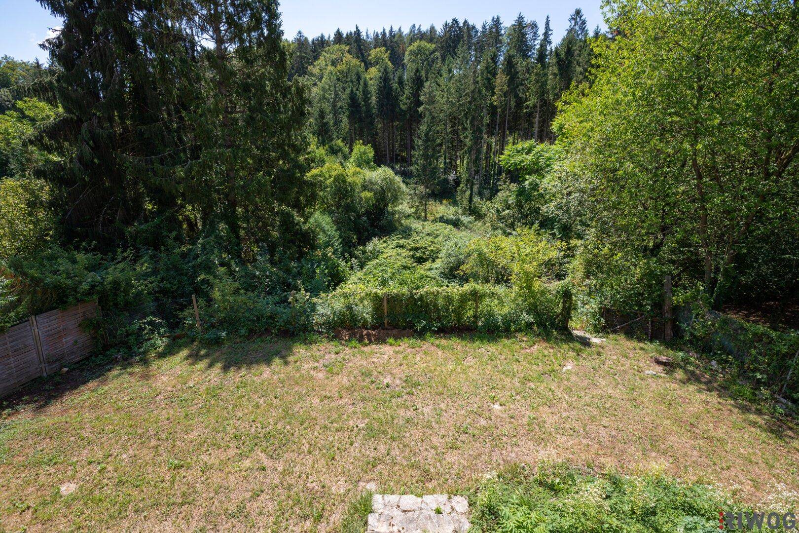 Garten mit Rasenfläche und dichtem Wald im Hintergrund unter blauem Himmel.